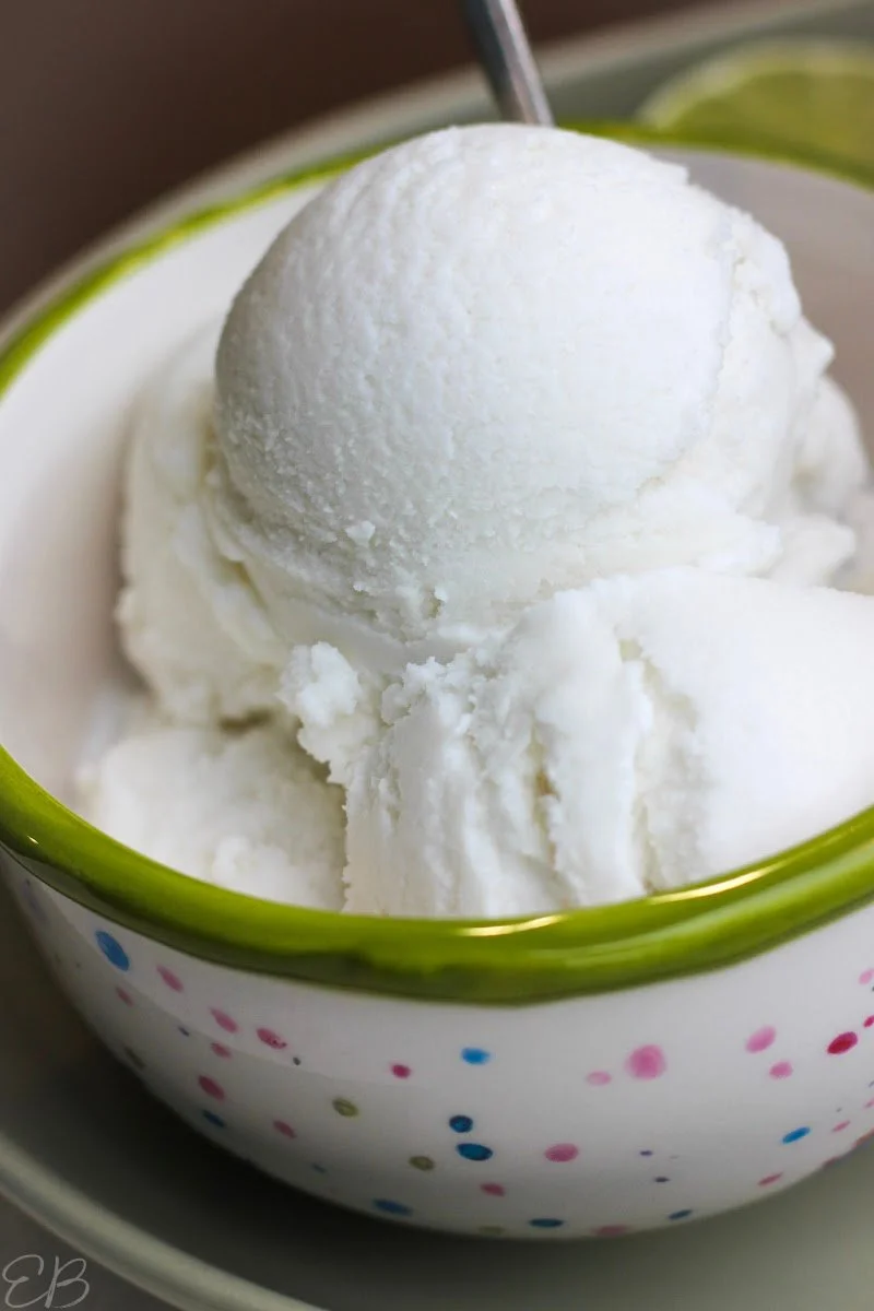 Coconut Lime Ice Cream