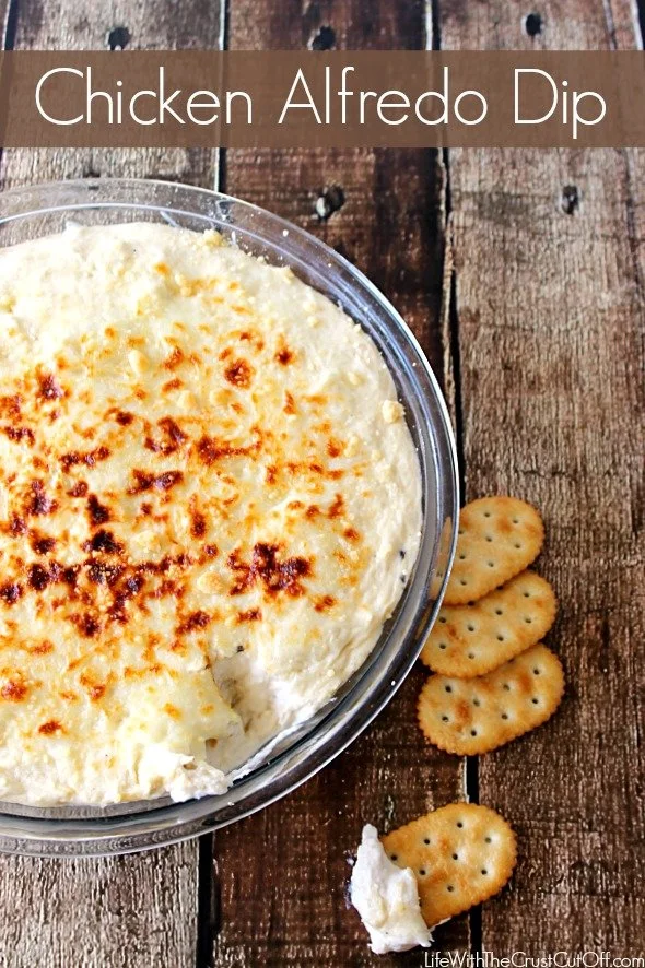Creamy Alfredo Chicken Dip