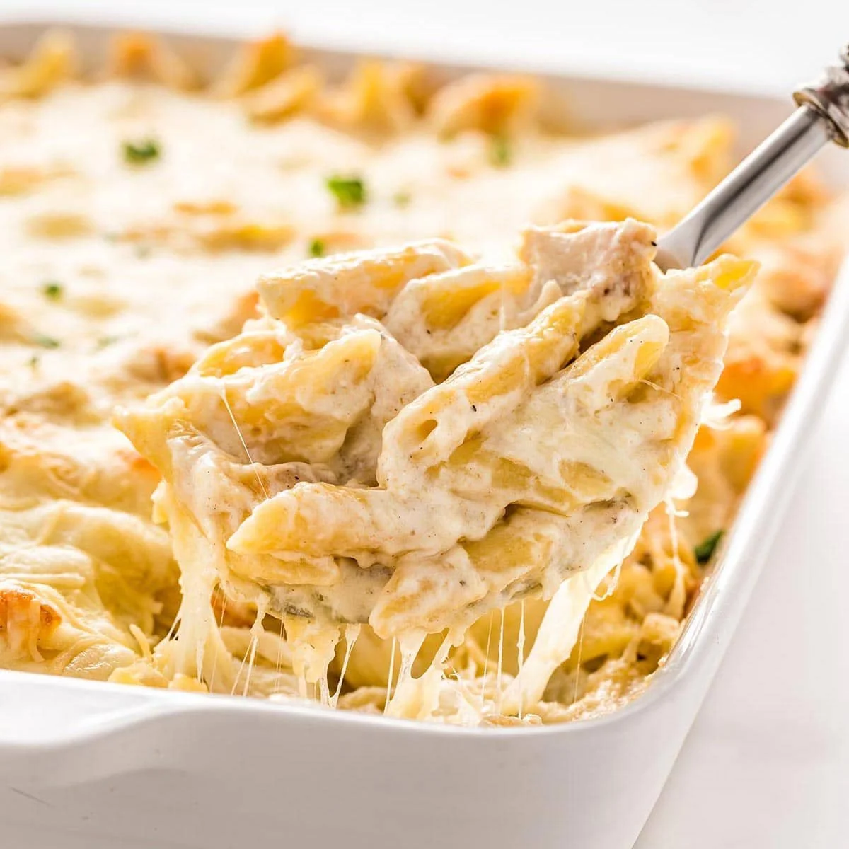 Creamy Chicken Alfredo Bake