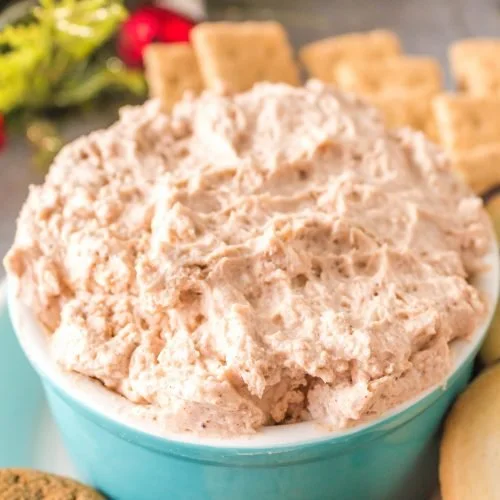 Creamy Cinnamon Swirl Dip served in a bowl with a sprinkle of cinnamon on top.