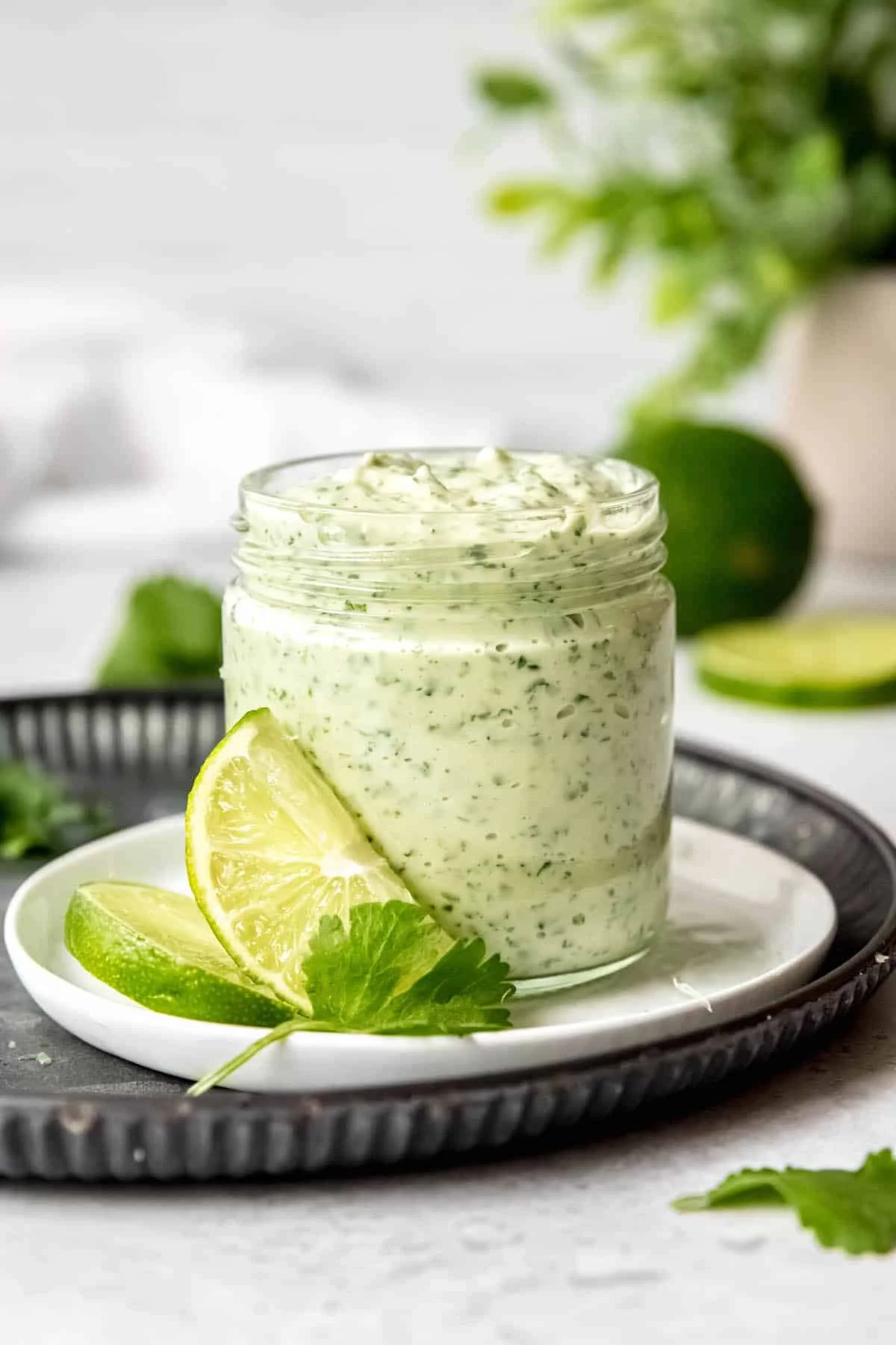 Creamy Garlic Lime Cilantro Dip
