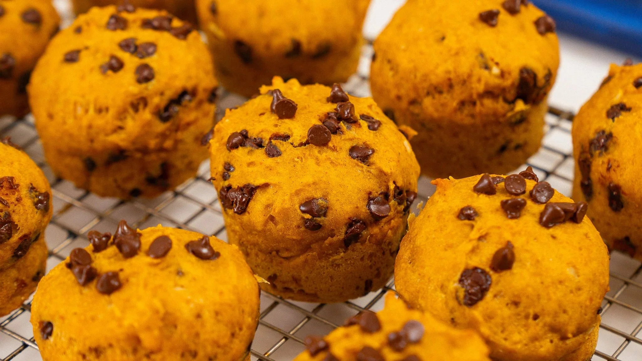 Creamy Pumpkin Cottage Cheese Muffins