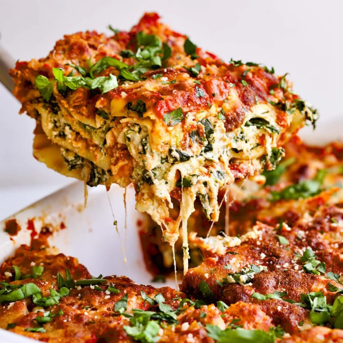 Creamy Spinach Lasagna Recipe
